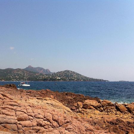 Appt Confort 3 Pieces Avec Terrasse Et Piscine A Saint-Raphael - Fr-1-226A-124 Exterior foto